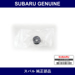 Genuine Subaru Grommet Color Cover - Multiple Part Numbers [Set 14096AA0]