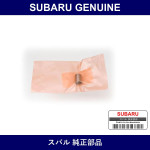 Genuine Subaru Straight Pin - Multiple Part Numbers [Set 80401-B]