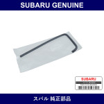 Genuine Subaru Hose Reserve Tank - Multiple Part Numbers [Set 45162-B]