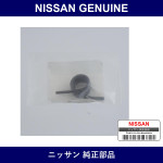 Genuine Nissan Spring - Multiple Part Numbers [Set 30533]