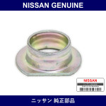 Genuine Nissan Color - Multiple Part Numbers [Set 16217]