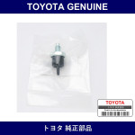 Genuine Toyota Gas Filter - Multiple Part Numbers [Set 90917-B]