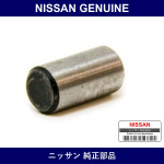 Genuine Nissan Dowell - Multiple Part Numbers [Set 13032]