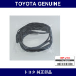 Genuine Toyota Quarter Window Run Right - Multiple Part Numbers [Set 62755]