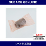 Genuine Subaru Color 2 Pinion - Multiple Part Numbers [Set 38369520]