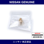 Genuine Nissan Needle Valve - Multiple Part Numbers [Set 16101]