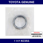 Genuine Toyota Rear Axle Retainer - Multiple Part Numbers [Set 42423]