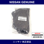 Genuine Nissan Trunk Net - Multiple Part Numbers [Set H4935]