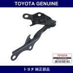 Genuine Toyota Hood Hinge - Multiple Part Numbers [Set 53410]
