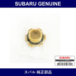 Genuine Subaru Cap Complete Oil Filler - Multiple Part Numbers [Set 15255AA]