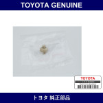 Genuine Toyota Curtain H - Multiple Part Numbers [Set 08232]