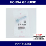 Genuine Honda Bolt Rear Hub Unit 10X46.5 - Part No. 90160-SL0-008 (90160SL0008)
