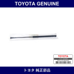 Genuine Toyota Food Support - Multiple Part Numbers [Set 53440]