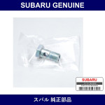 Genuine Subaru Screw Union - Part No. 15194AA270 (15194-AA270)
