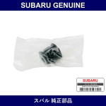 Genuine Subaru Bush B Lateral Link - Part No. 20254SA010 (20254-SA010)