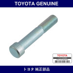 Genuine Toyota Rear Spring Bolt Ctr - Multiple Part Numbers [Set 48247]