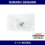 Genuine Subaru Bolt T-Belt Cover - Multiple Part Numbers [Set 8007069]