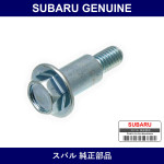 Genuine Subaru Bolt T-Belt Cover - Multiple Part Numbers [Set 8007069]