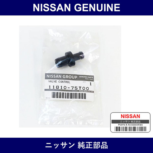 Genuine Nissan Valve - Multiple Part Numbers [Set 11810-B]