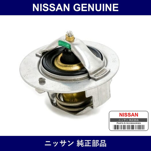 Genuine Nissan Thermo - Multiple Part Numbers [Set 21200]