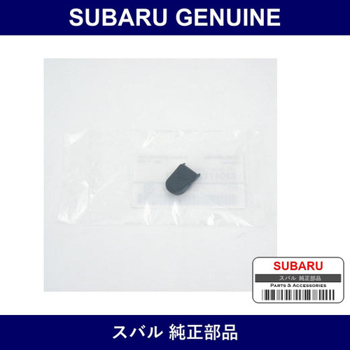 Genuine Subaru Cap Assist Rail - Multiple Part Numbers [Set 92041TA001]