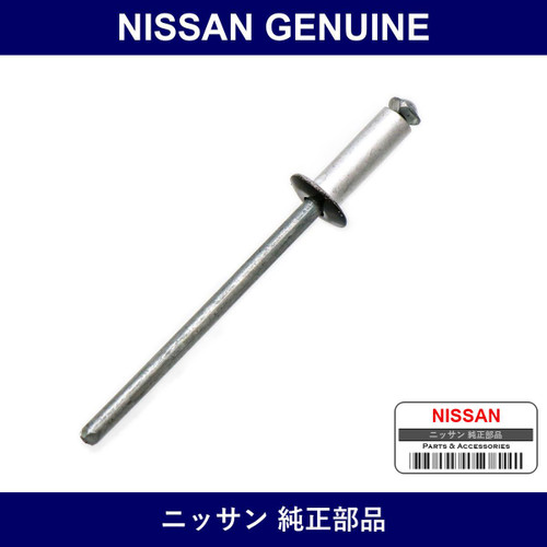 Genuine Nissan Rivet - Multiple Part Numbers [Set 68399]