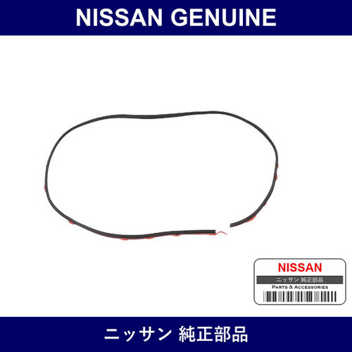 Genuine Nissan Molding Windshield Upper - Multiple Part Numbers [Set 7275]