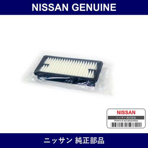 Genuine Nissan Air Element - Multiple Part Numbers [Set 16546]