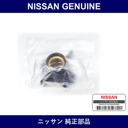 Genuine Nissan Disrota - Multiple Part Numbers [Set 22157-B]