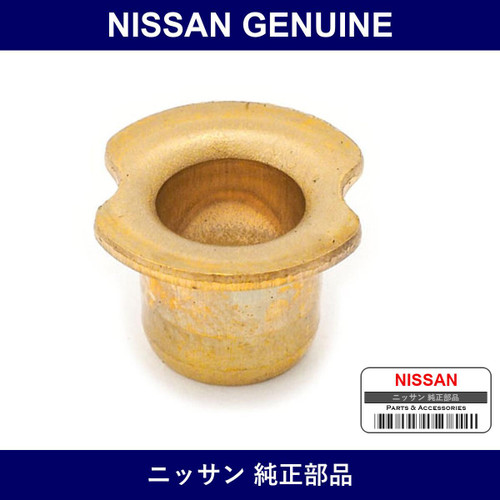 Genuine Nissan Cap Front Door Hinge - Part No. 80410-01G00 (8041001G00)