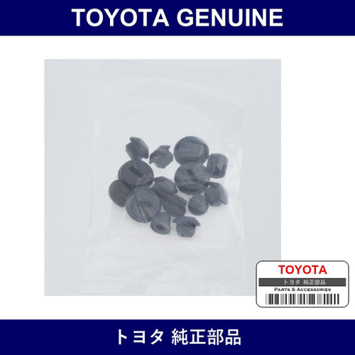 Genuine Toyota Rear Brake Plug Set - Part No. 04949-25040 (0494925040)