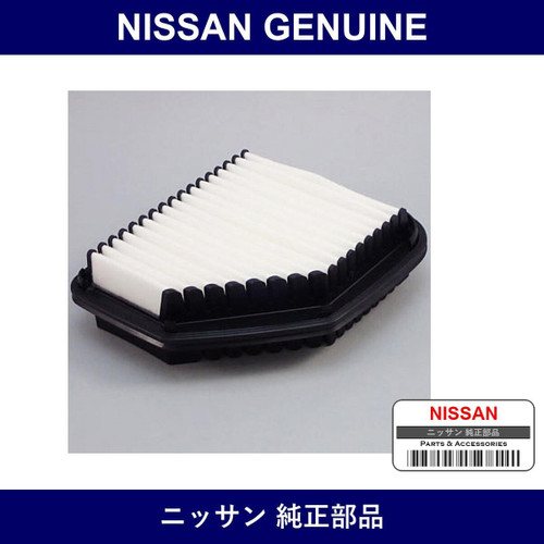 Genuine Nissan Air Element - Multiple Part Numbers [Set 16546-B]