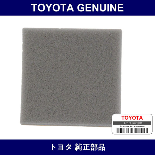 Genuine Toyota Cowl Top Ventilator Louver Protector Lh - Part No. 55789-52060 (5578952060)