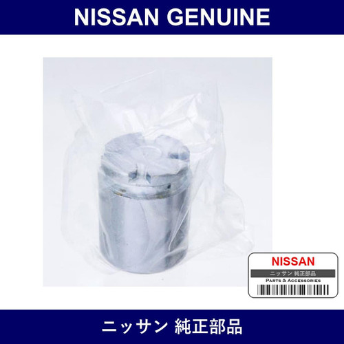 Genuine Nissan R Piston - Multiple Part Numbers [Set 44123]