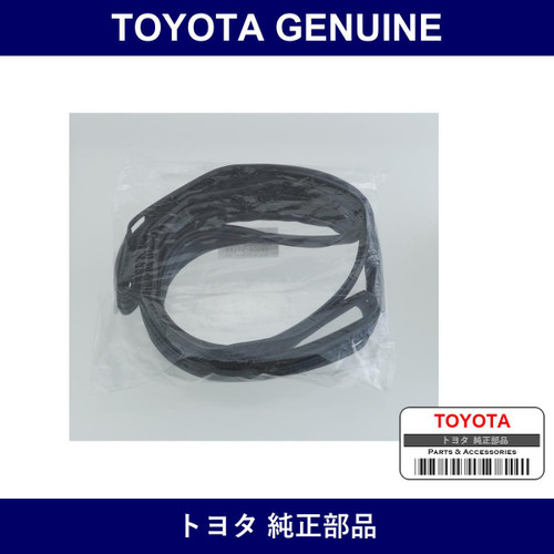 Genuine Toyota Quarter Window Run Right - Multiple Part Numbers [Set 62755]