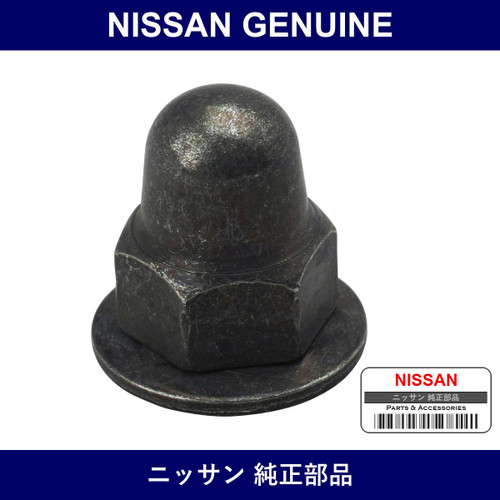 Genuine Nissan Nut - Multiple Part Numbers [Set 01217]