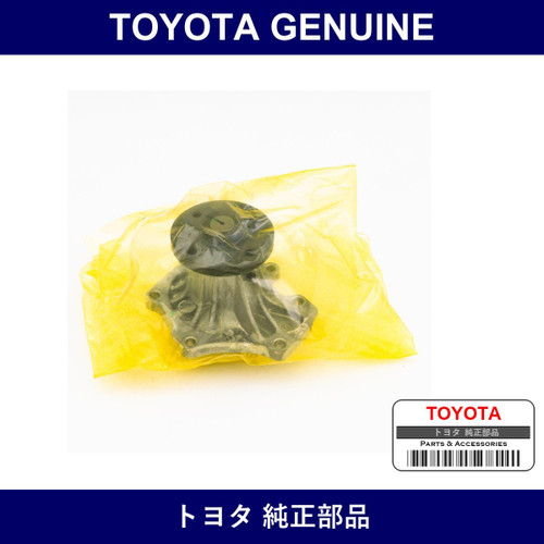 Genuine Toyota Water Pump Assembly - Multiple Part Numbers [Set 16100]