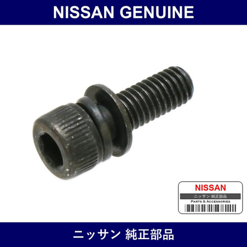 Genuine Nissan Bolt Ornament - Part No. 01131-00501 (0113100501)
