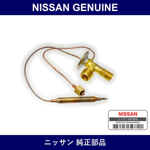 Genuine Nissan Valve Assembly Expansion - Multiple Part Numbers [Set 92200]