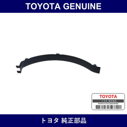 Genuine Toyota Luggage Door Hinge Arm Plate Right - Part No. 64539-53010-C0 (6453953010C0)