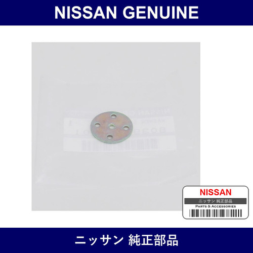 Genuine Nissan Washer Window Glass - Multiple Part Numbers [Set 80391]
