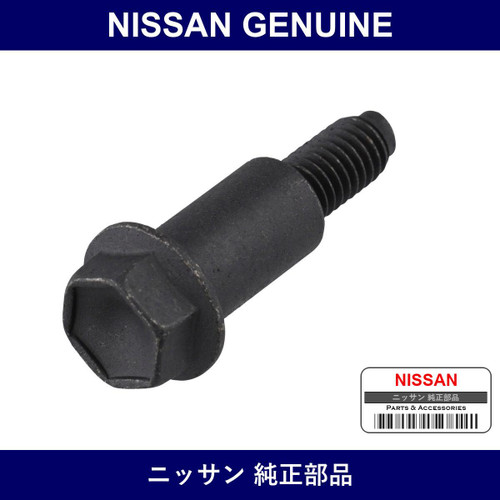 Genuine Nissan Bolt - Multiple Part Numbers [Set 13224]