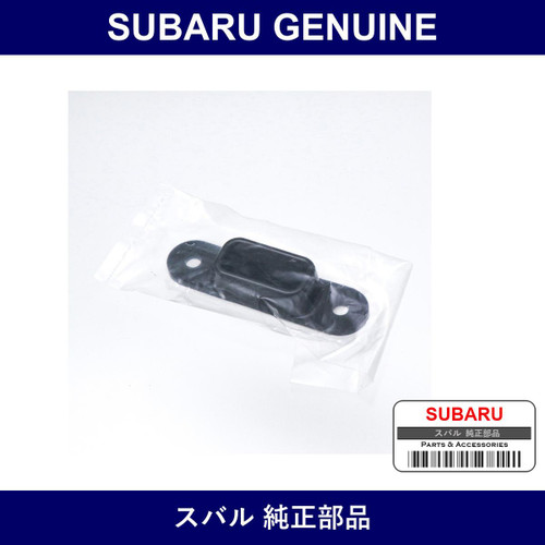 Genuine Subaru Striker Sliding Door - Part No. 62422TA000 (62422-TA000)