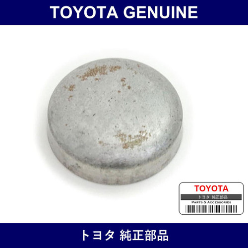 Genuine Toyota Tight Plug - Multiple Part Numbers [Set 96411]