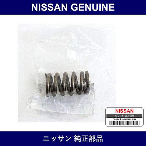 Genuine Nissan Spring Special - Multiple Part Numbers [Set 20074]