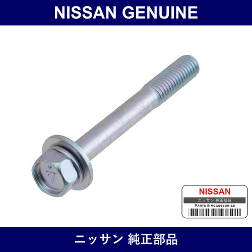 Genuine Nissan Bolt Hexagon In Manifold - Multiple Part Numbers [Set 08120]