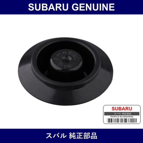 Genuine Subaru Plug Hole - Part No. 60157GA080 (60157-GA080)