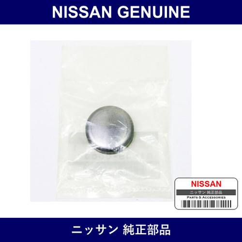 Genuine Nissan Plug Welch - Multiple Part Numbers [Set 01648]