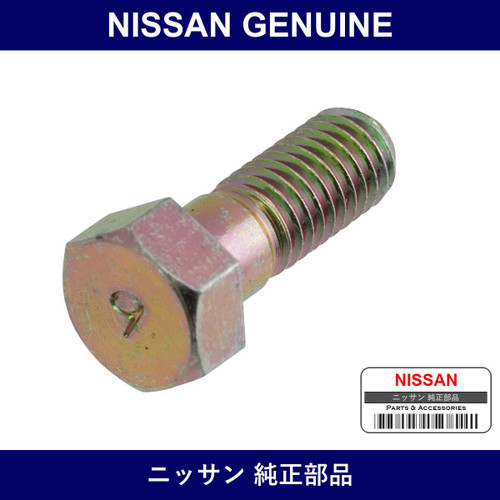 Genuine Nissan Bolt Fix - Multiple Part Numbers [Set 38226]