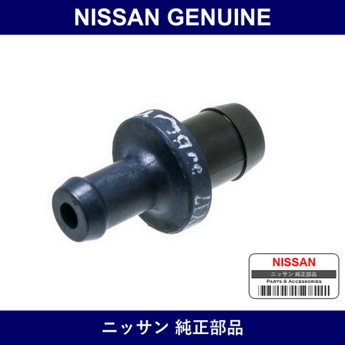 Genuine Nissan Valve - Multiple Part Numbers [Set 11810]